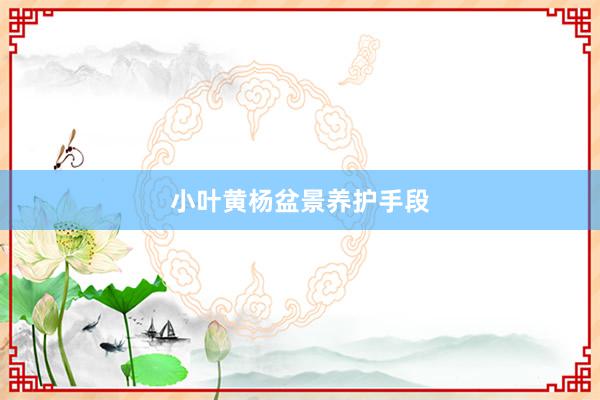 小叶黄杨盆景养护手段